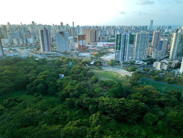 Comment la culture populaire reflète-t-elle les enjeux contemporains ?