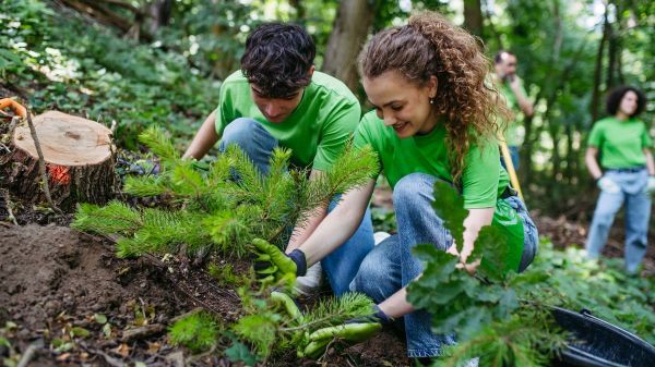 Découvrez le lien crucial entre la santé des sols et la biodiversité : impact et enjeux !